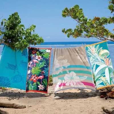 Fleurs des îles
