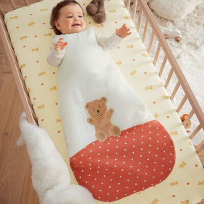 Petit ours