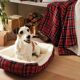 Panier pour chien-1