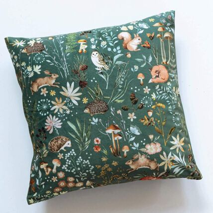 Housse de coussin + coussin
