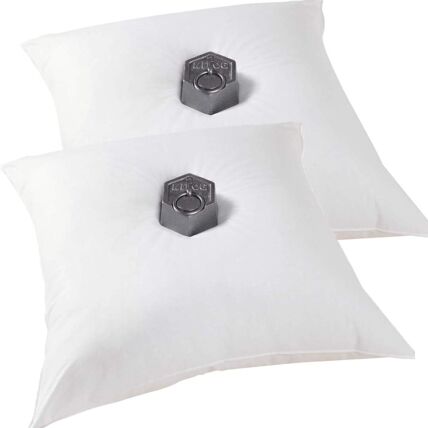 Lot de 2 oreillers