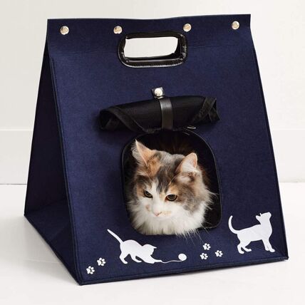 Maison pour chat