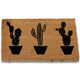 Paillasson cactus-1