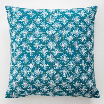 Housse de coussin + coussin