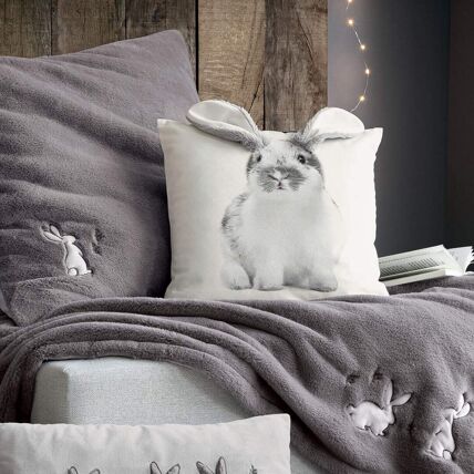 Housse de coussin + coussin