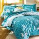 Drap-4