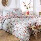 Drap housse-3