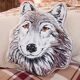 Coussin-1
