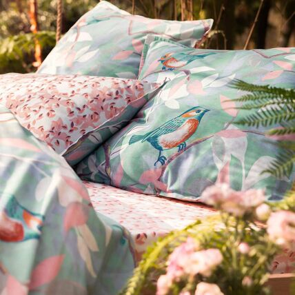 Drap housse
