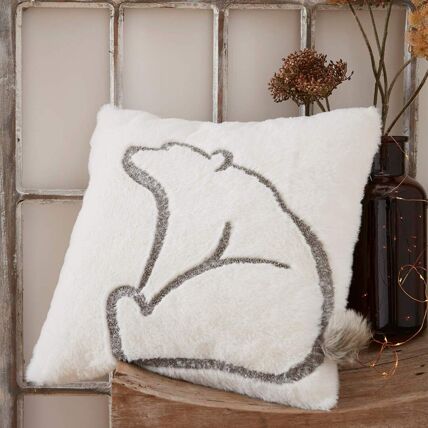 Housse de coussin + coussin