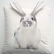 Housse de coussin + coussin-3