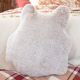 Coussin-2