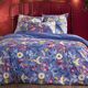 Housse de couette-1