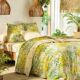 Housse de couette-2