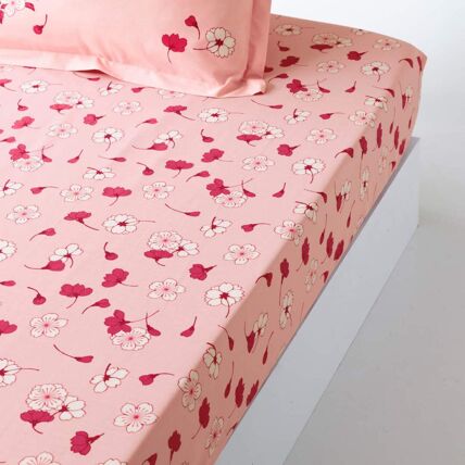 Drap-housse