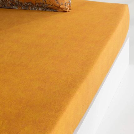 Drap-housse