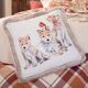 Housse de coussin-1