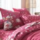 Drap-housse-4