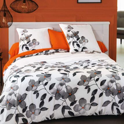 Drap-housse