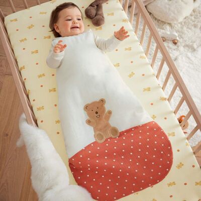 Petit ours