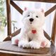 Peluche-1