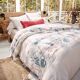 Housse de couette-2