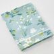 Drap-1
