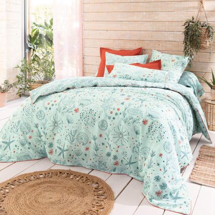Drap