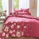Drap-housse-2
