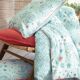 Drap-6