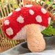 Coussin-2