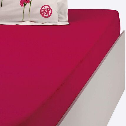Drap-housse