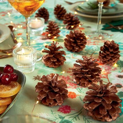 10 pommes de pin décoratives