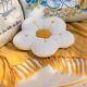 Coussin-1