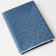 Drap-1