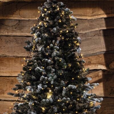 Autour du sapin