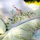 Linge de lit-6
