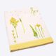Drap-1