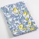 Drap-1