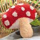Coussin-1