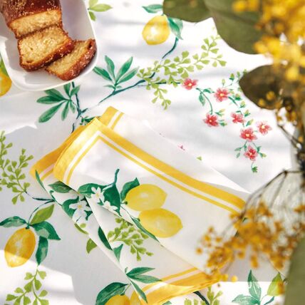 Nappe