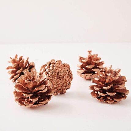 Pommes de pin décoratives