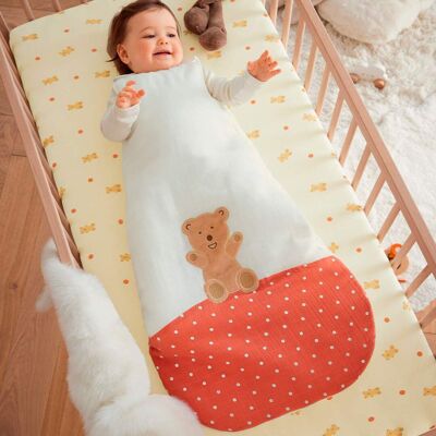 Petit ours