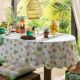 Nappe-2