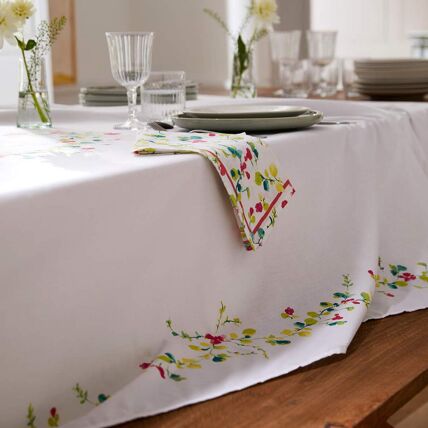 Nappe