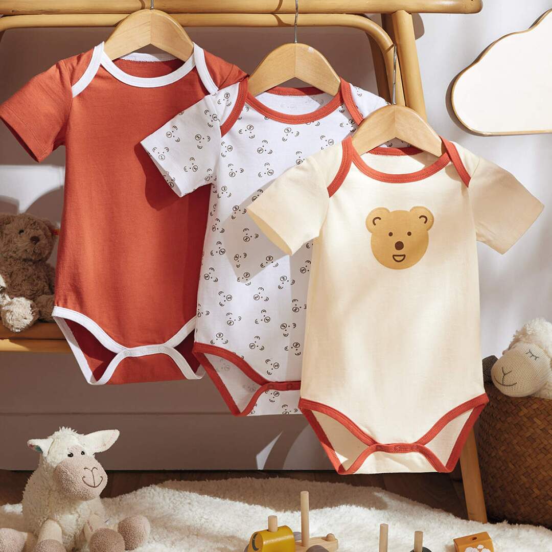 Petit ours
