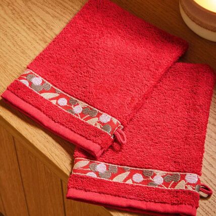 2 gants de toilette