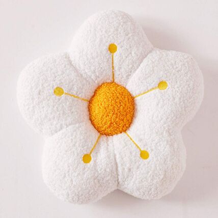 Coussin