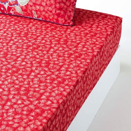 Drap-housse